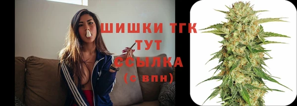 шишки Алексин