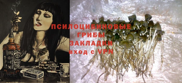 ПСИЛОЦИБИНОВЫЕ ГРИБЫ Алексеевка